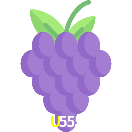U555
